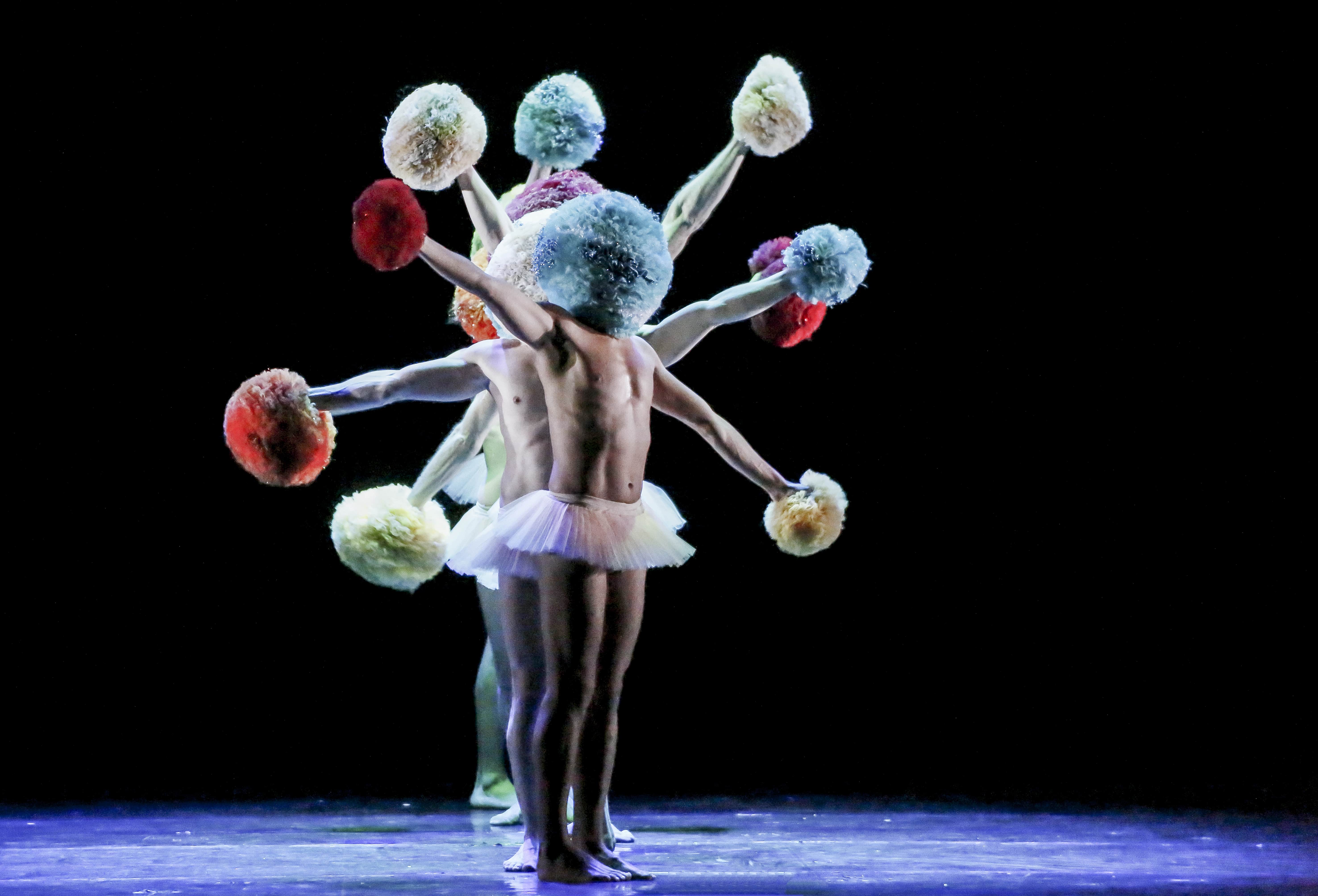 Les Chicos Mambo dans TUTU 8